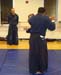 Shinden-Fudo-Ryu