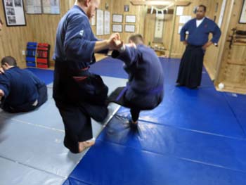 Arm-Break