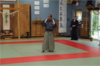 Iaijutsu 5