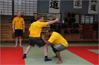 No Gi Training 12
