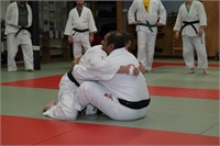 Suwari Gata 6