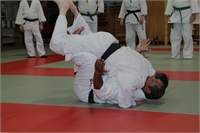 Suwari Gata 7