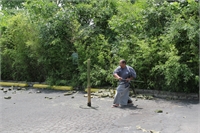 Tameshigiri 1 (2)