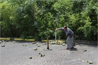 Tameshigiri 1 (3)