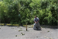 Tameshigiri 1 (4)