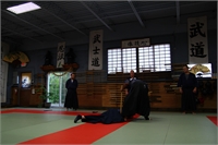 Hanbo Kata 3 (6)