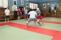 No Gi Training 1