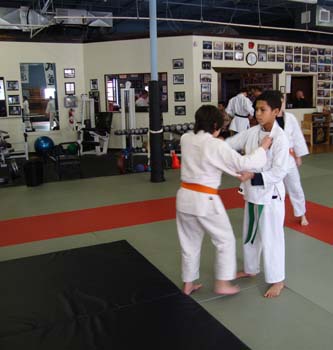 Judo-Throw